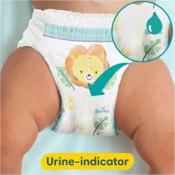 Pampers® Pampers Premium Protection Pants - Maat 6 (15kg+) - 132 Luierbroekjes - Maandbox -Pampers Katoenen luiers Verkoopwinkel 1200x1200 194